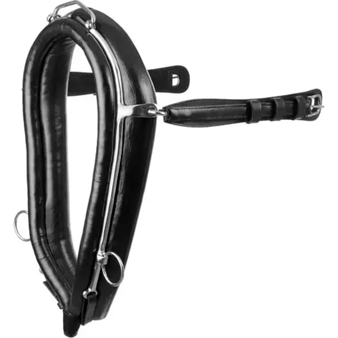 Halsband voor paard Lexhis Munich Sencillo
