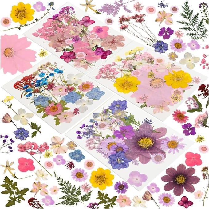Solidchoice - 100-delig Droogbloemen Set voor Creatieve Projecten