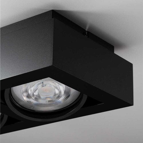 Castor nero II by LUSENZ - Rechthoekige 2-lichts plafondlamp met richtbare spots en matzwarte coating