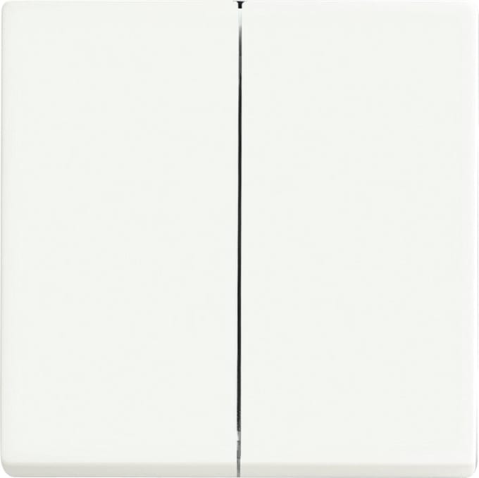 ABB Busch-Jaeger Schakelelement/Centrale Plaat - 2CKA006730A0140