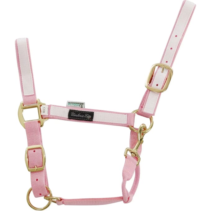 Kleurige nylon halster voor paard Umbria Equitazione
