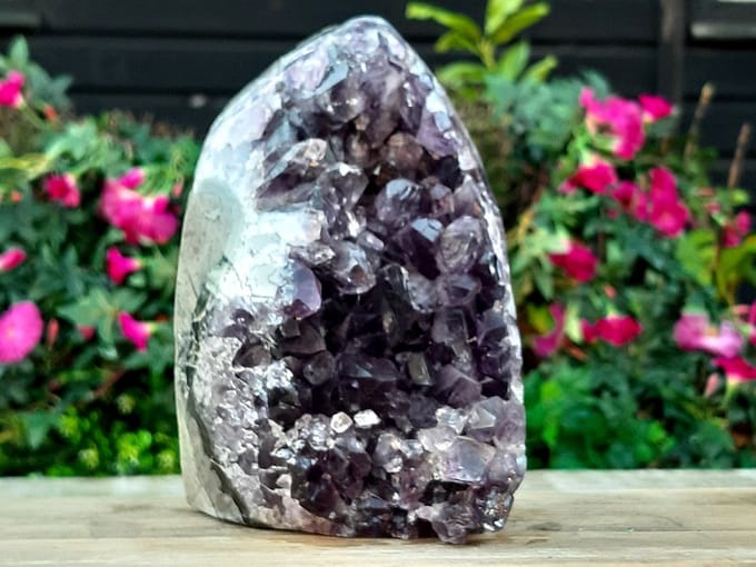 Amethist cluster uit Uruguay - 1379 gram