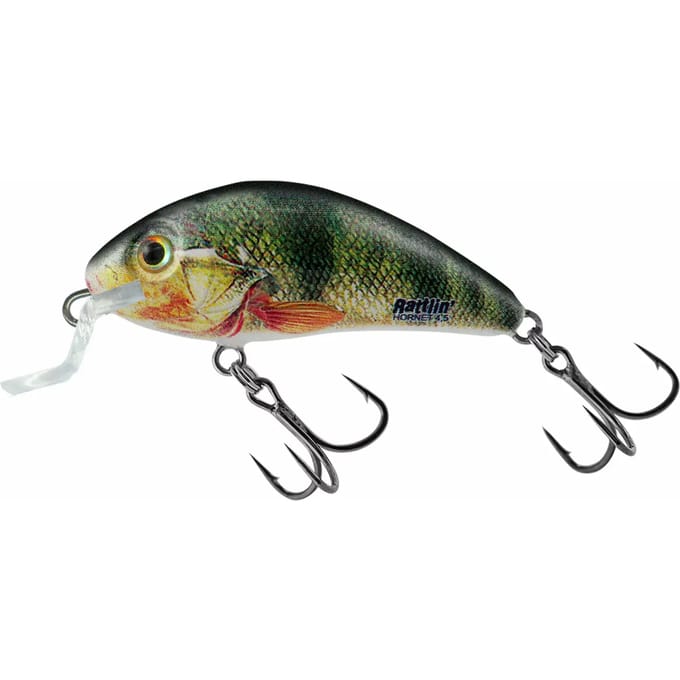 Salmo Rattlin Hornet Shallow - 4.5 cm - supernatural perch