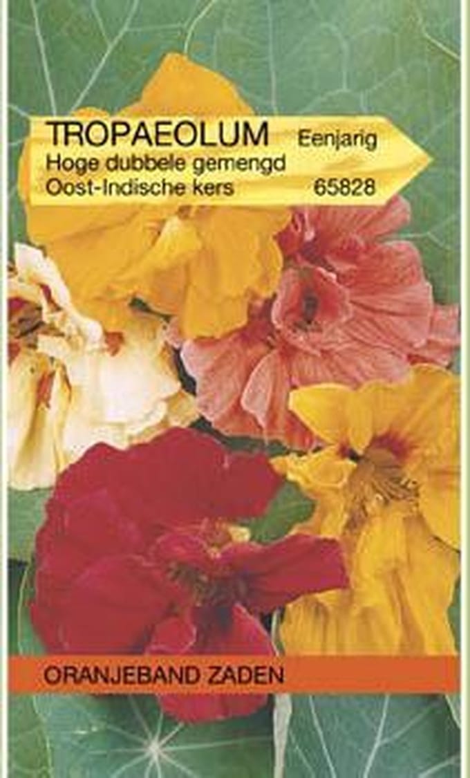 Tropaeolum, Oost-Indische kers dubbelbloemig hoog