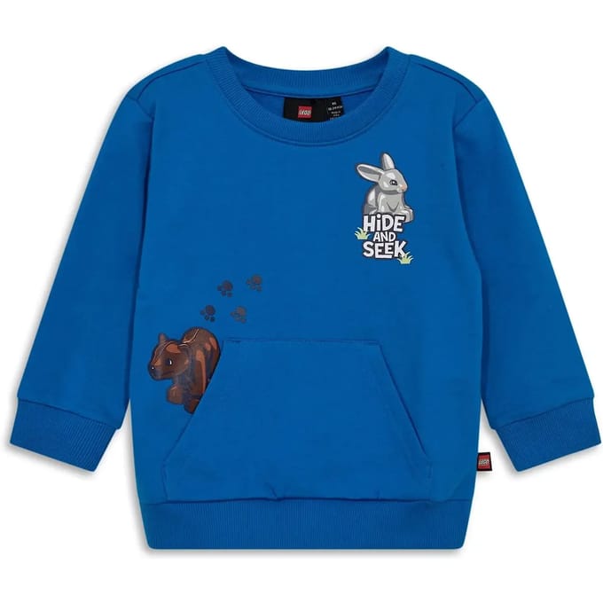 Junior Sweatshirt Lego Lwsanyu 702
