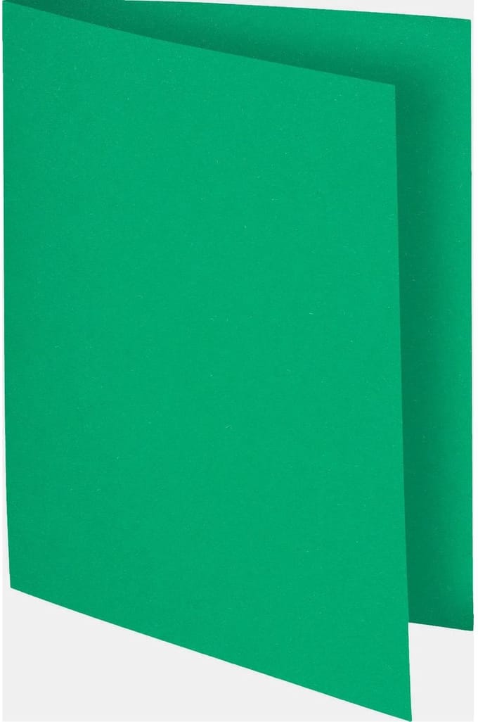Exacompta 10x FLASH 80 - Pak van 100 inlegmappen - Groen - 150004E