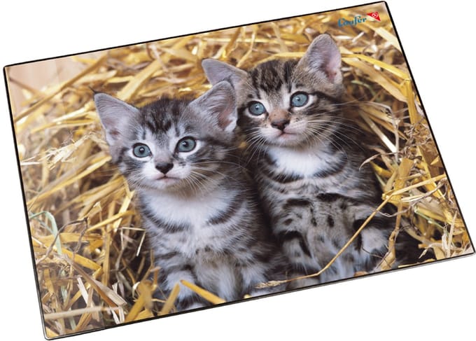 Läufer schrijfonderlegger Katten in het Stro, 400 x 530 mm