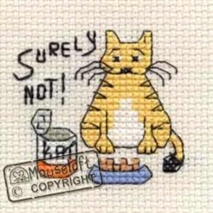 Mini Borduurpakketje Kat - Surely Not - Mouseloft