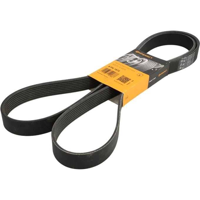 Continental Ctam V-riem CONTINENTAL 8PK1972