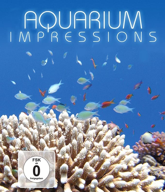 Aquarium Impressions