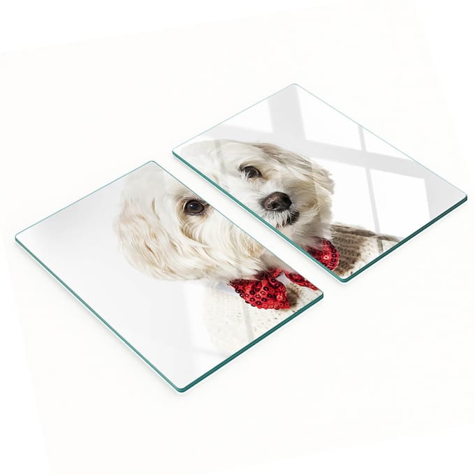 Glazen snijplanken met afbeelding van een Maltezerhond, 2x40x52 cm
