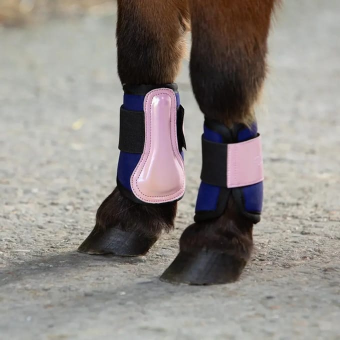 Gesloten laarzen Harry's Horse Diva