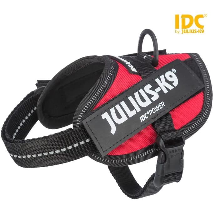 Julius-K9 Powertuigje IDC Rood Maat 2XS: borstomvang 33 - 45 cm