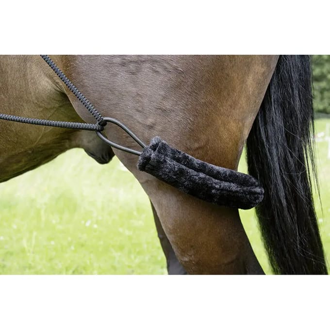 HKM pessoateugel - longeerhulp - zwart - one size