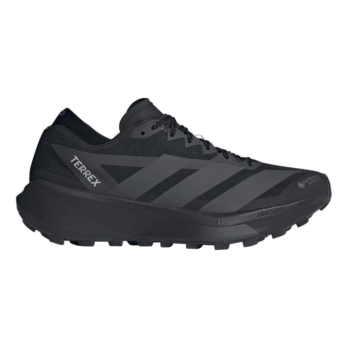Trailschoenen adidas Terrex Agravic Gore-Tex 2