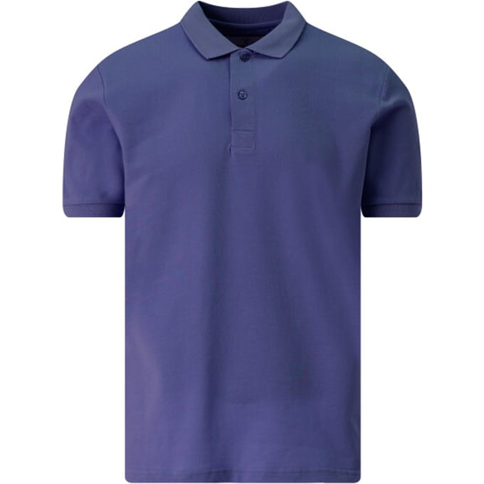 The BLUEPRINT Premium Polo Heren Blauw