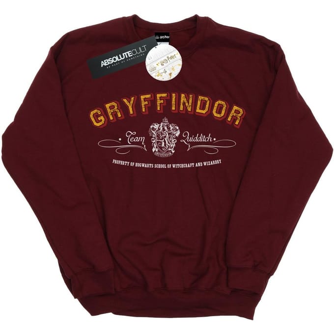 Harry Potter Dames/Dames Gryffindor Team Zwerkbal Sweatshirt (Bourgondië)