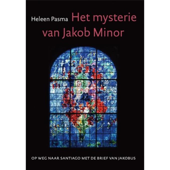 Het Mysterie Van Jacob Minor - Heleen Pasma