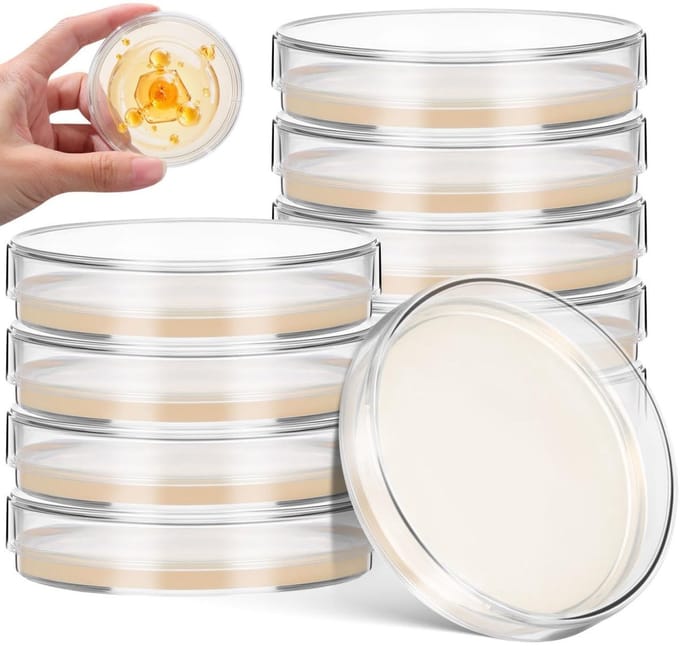 Set van 10 steriele agarplaten van 7 cm voor bacteriekweek, laboratoriumexperimenten en MINT-projecten