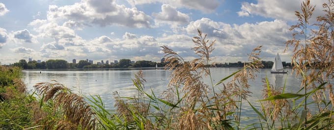 Fotobehang Rotterdam Kralingse Plas 450 x 260 cm - € 295,--