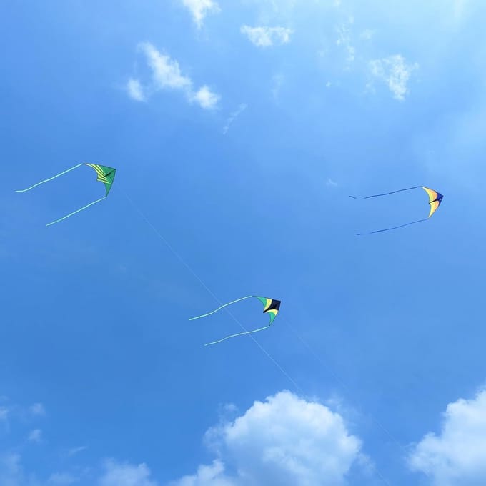 Grote Delta Vlieger Set van 3 - Ideaal voor Kinderen en Volwassenen van 4-12 Jaar