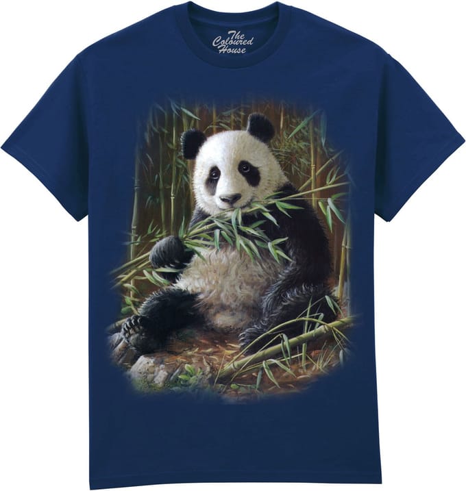 Bamboo Panda The Coloured House T-shirt M