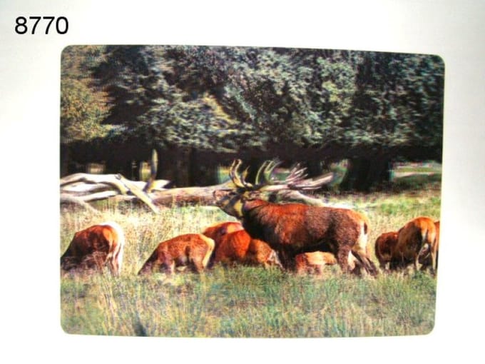 3D Placemat - Edelherten in het Bos - 29,5 x 39,5 cm - Diepte Effect - Tafelmat
