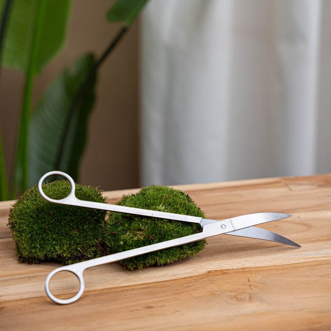 Terrarium scissors - DIY Terrarium Online | Florazo