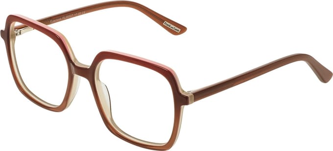 Frank and Lucie Eyeclass leesbril + soft pouch double desire +3