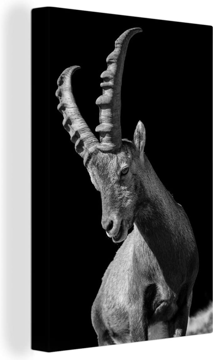 Canvas Schilderij Zwart-wit geitenfoto - 60x90 cm - Wanddecoratie