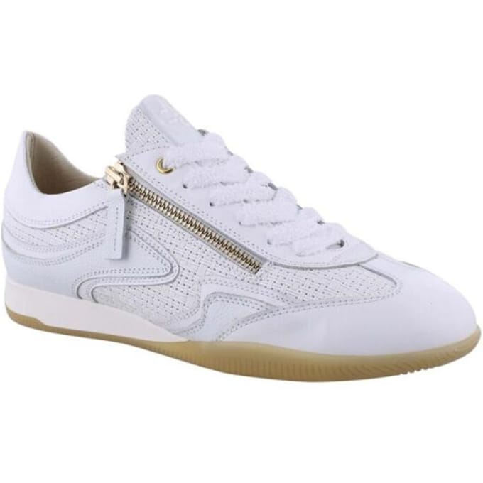 DL Sport 6571