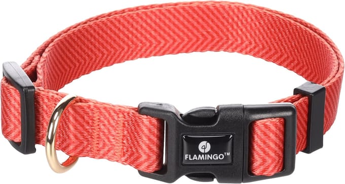 Flamingo - Hond Halsband Noekie Oranje M 40-55cm 20mm