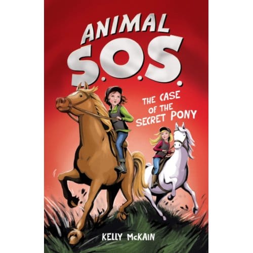 The case of the secret pony : 3 - Kelly Mckain