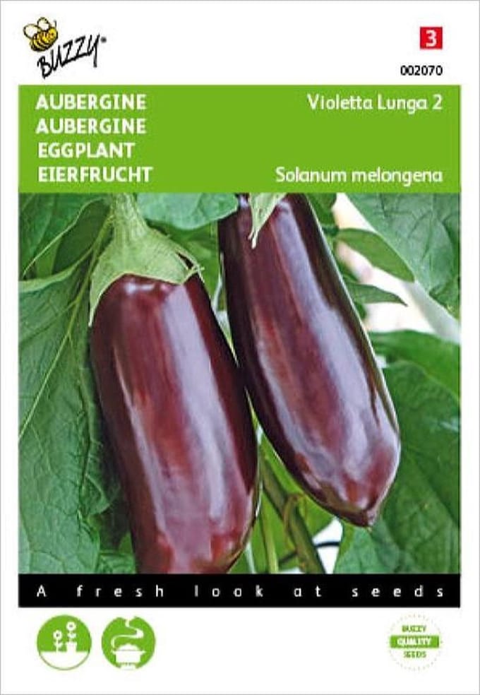 Buzzy® Aubergine Violetta Lunga 2