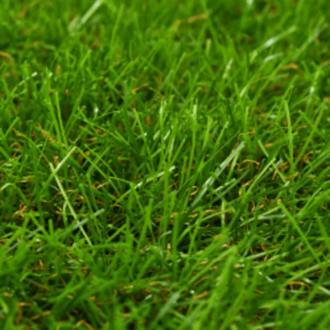 Vidaxl Pelouse Artificielle 1X15 M; 40 mm, Vert