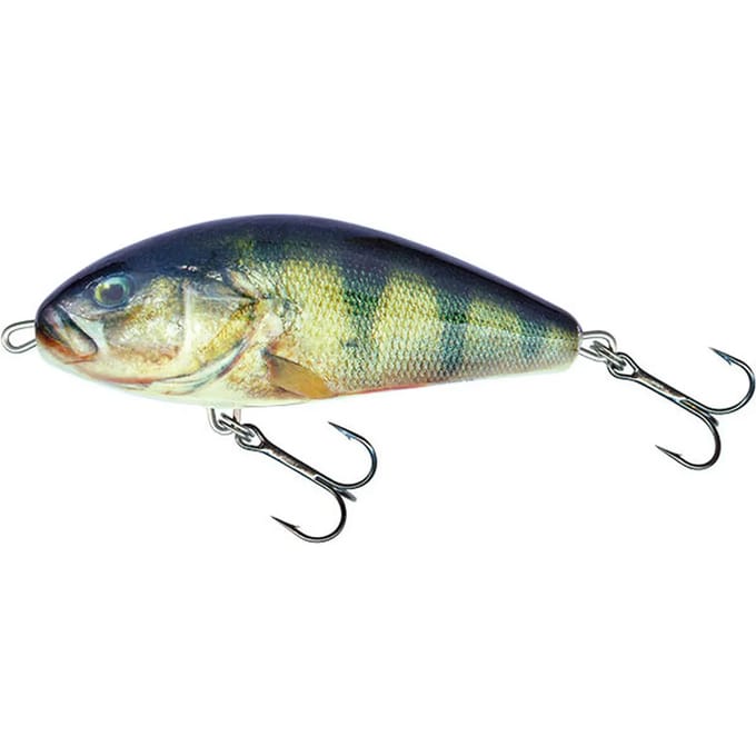 Lok Salmo F10S