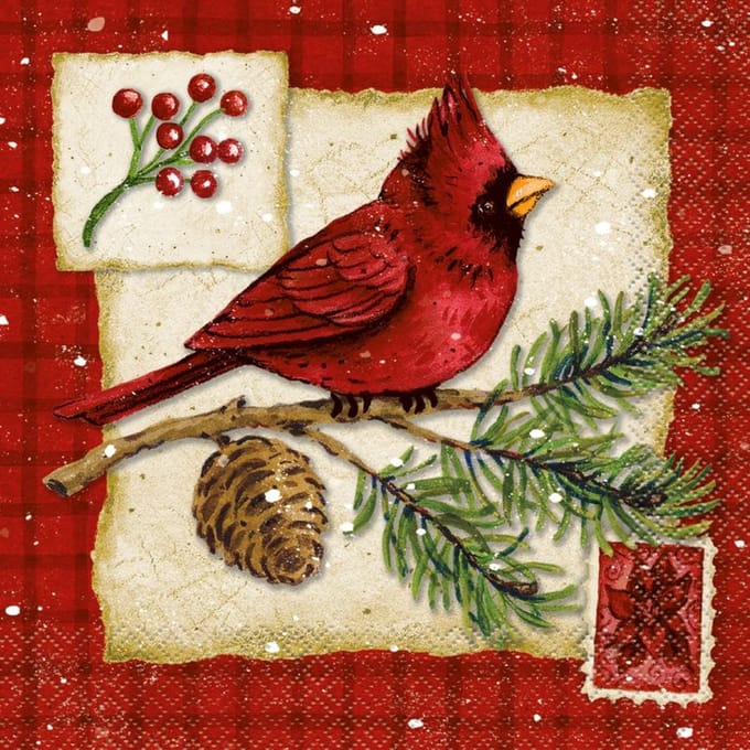 16 kerstservetten met vogeltjes, 2-laags, 33x33cm