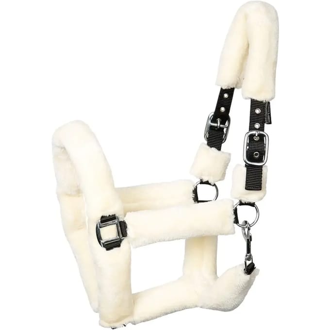 Halster voor paarden Harry's Horse Teddy