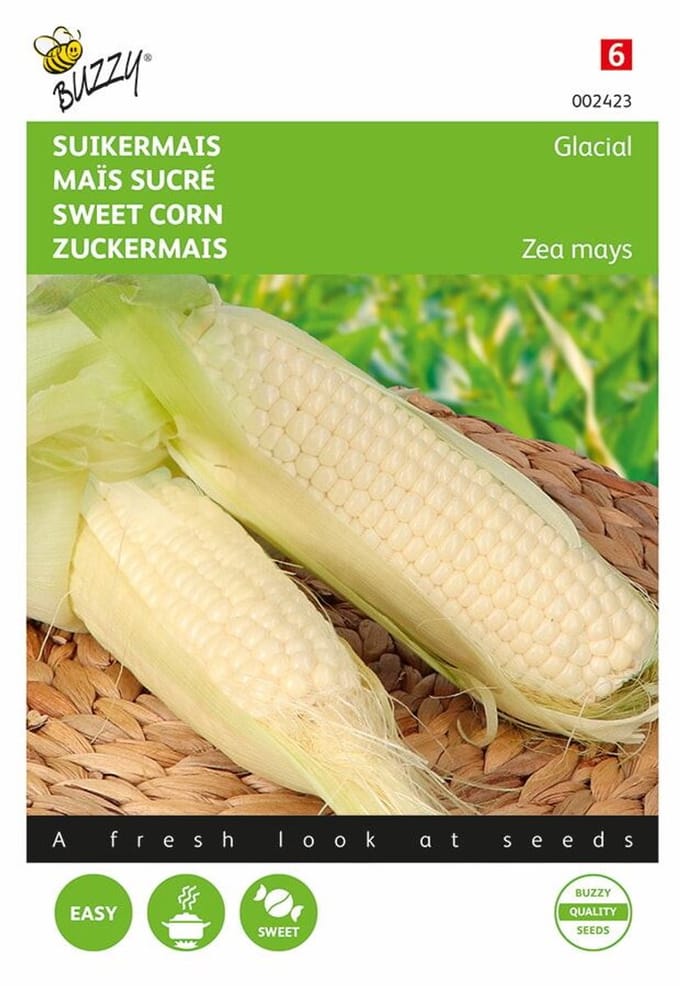 Buzzy - Seeds suikermais glacial 20 zaden