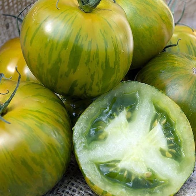 BIO-tomaten zaden - Tomaat Green Zebra
