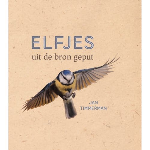 Elfjes - Jan Timmerman
