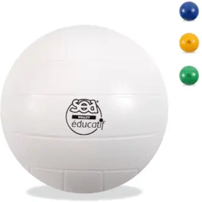 Educatieve volleybal voor kinderen SEA
