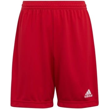 adidas Performance Entrada 22 Short - Kinderen - Rood- 140
