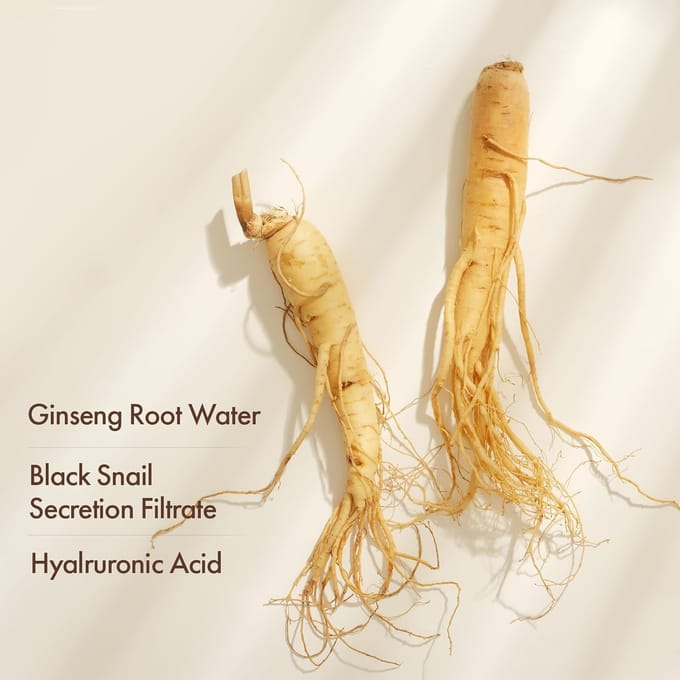 [TOSOWOONG] Black Snail Ginseng Serum 30ml beige