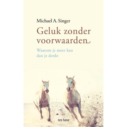 Geluk Zonder Voorwaarden - Michael A. Singer