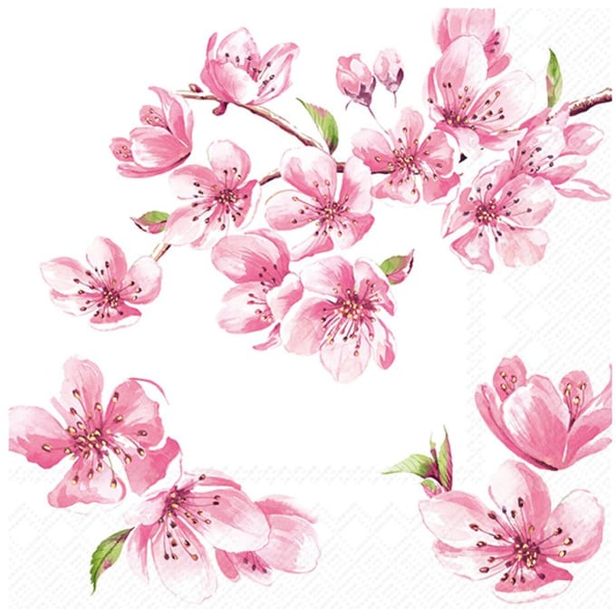 Servet "Sakura Rose"