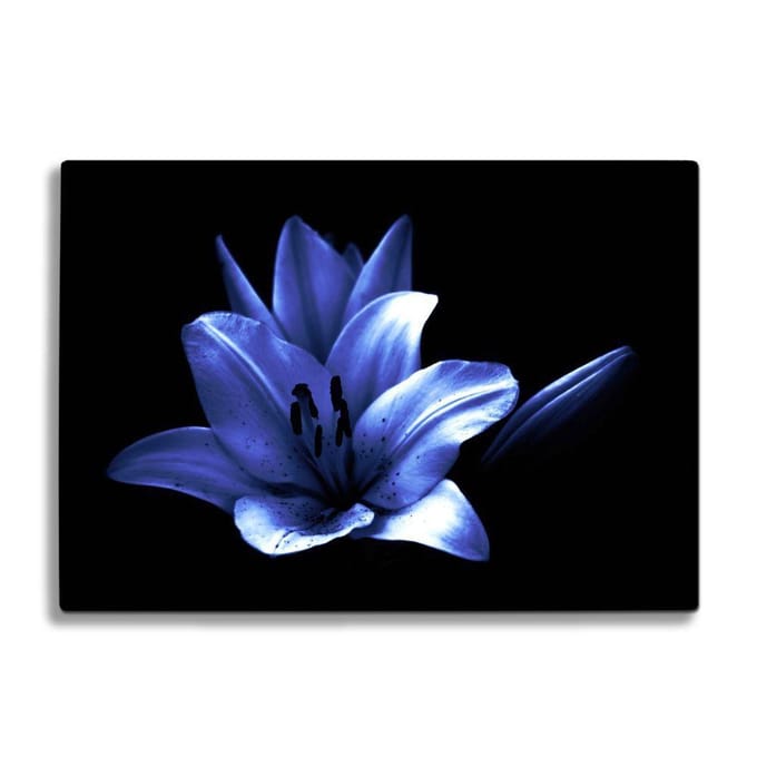 Glassnijplank - Paarse Bloem - Glazen Snijplanken - 35×25 cm - 4mm