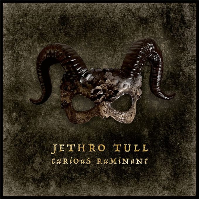Jethro Tull CD - Curious Ruminant - voor Geen - standaard