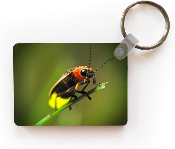 Sleutelhanger - Vuurvliegje op een grasstengel - Uitdeelcadeautjes - Plastic