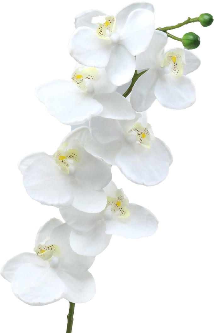 Kunst orchidee kunstbloem wit Ø6,5-8cm 77cm